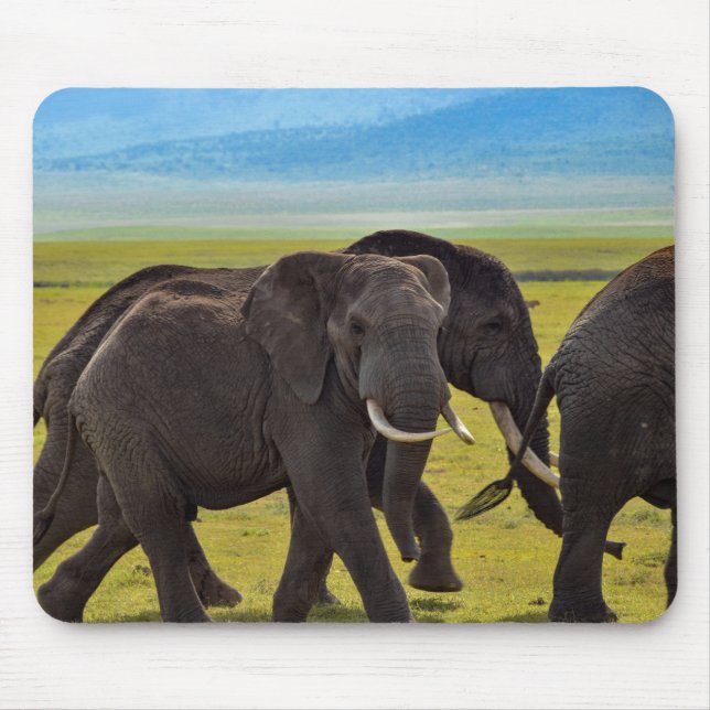 Mousepad Elefantes, Vida Selvagem, Natureza (Frente)