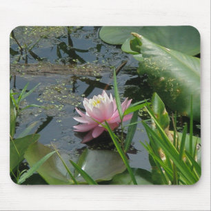 Mousepad Elementos de coordenação da lírio-d'água rosa