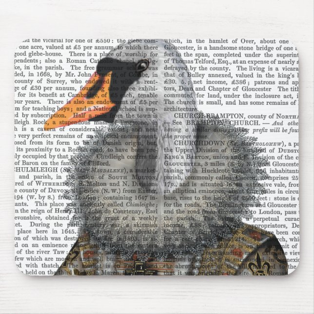 Mousepad Elizabethan Swan (Frente)