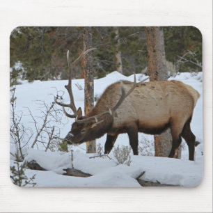 Mousepad Elk