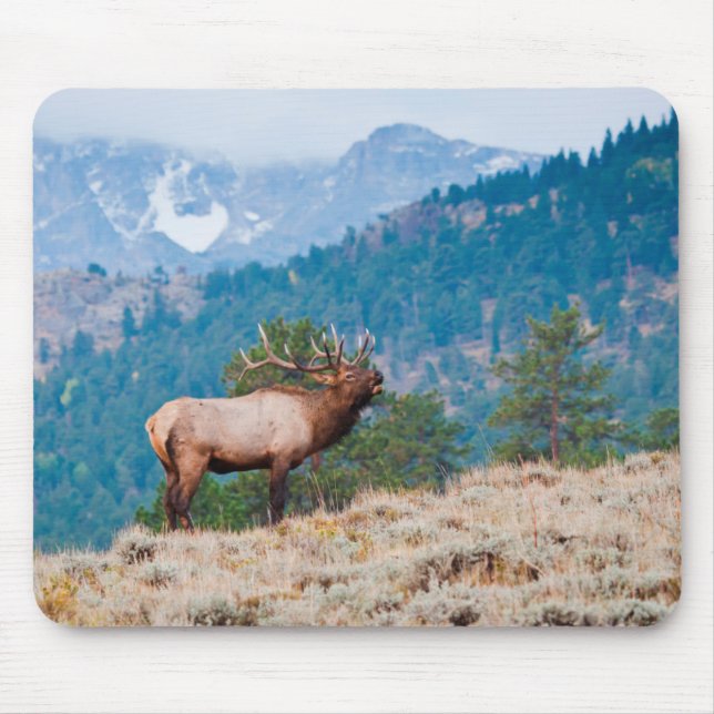 Mousepad Elk (Cervus Elephus) Bull Bugling (Frente)