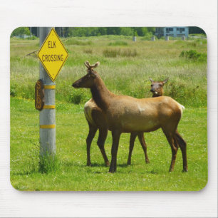 Mousepad Elk Crossing California Wildlife
