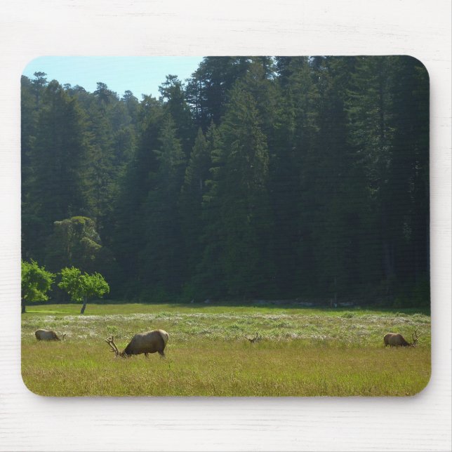 Mousepad Elk Meadow no Parque Nacional Redwood (Frente)