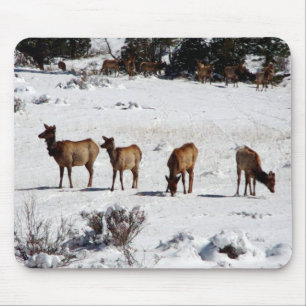 Mousepad Elk no mouse da neve