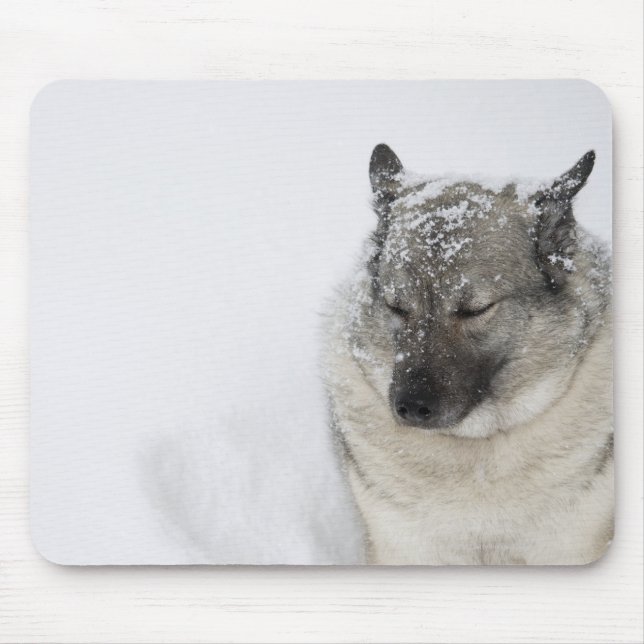Mousepad Elkhound Norueguês (Frente)