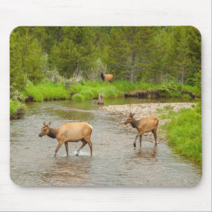 Mousepad Elks atravessando o Rio Colorado