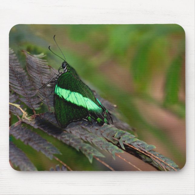 Mousepad Emerald Swallowtail (Frente)