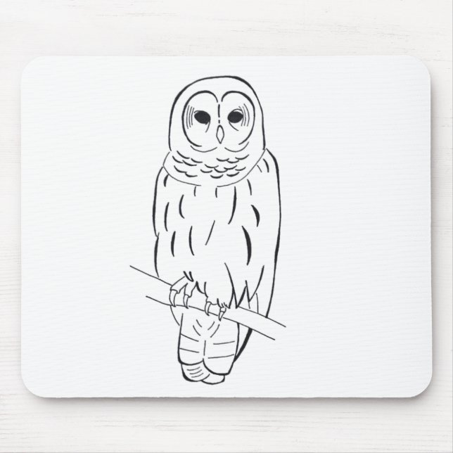 Mousepad empoleirando-se da coruja (Frente)