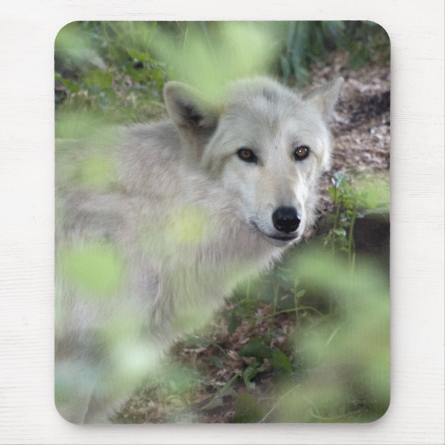 Mousepad Encanto do lobo (Frente)