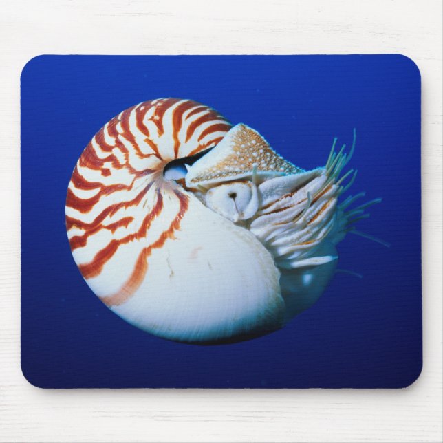 Mousepad Encerramento De Nautilus Cambaleado (Frente)