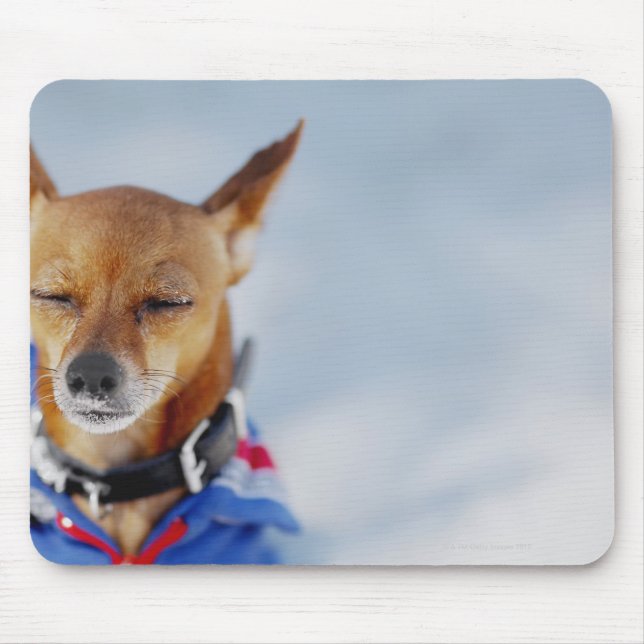 Mousepad Encerramento de um cão (Frente)