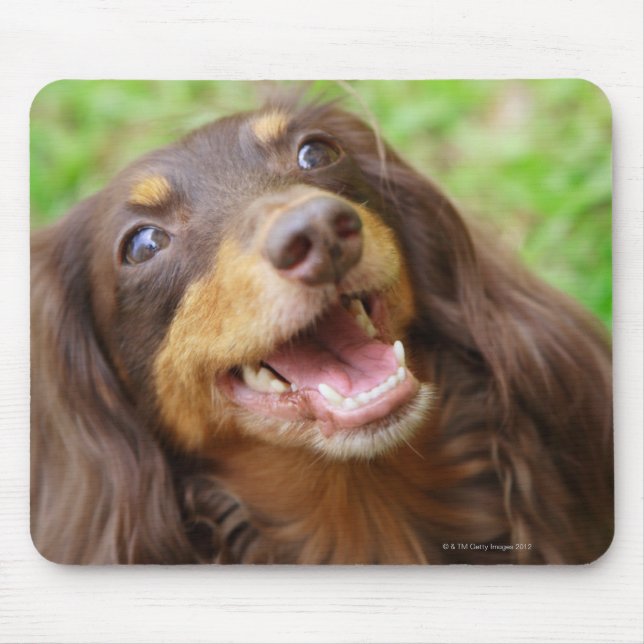 Mousepad Encerramento de um cão Dachshund (Frente)