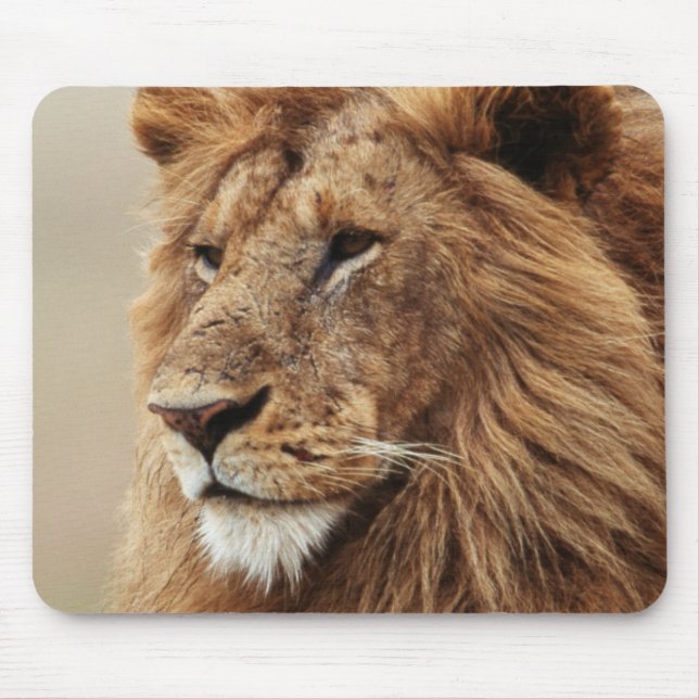 Mousepad Encerramento do Leão masculino (Frente)