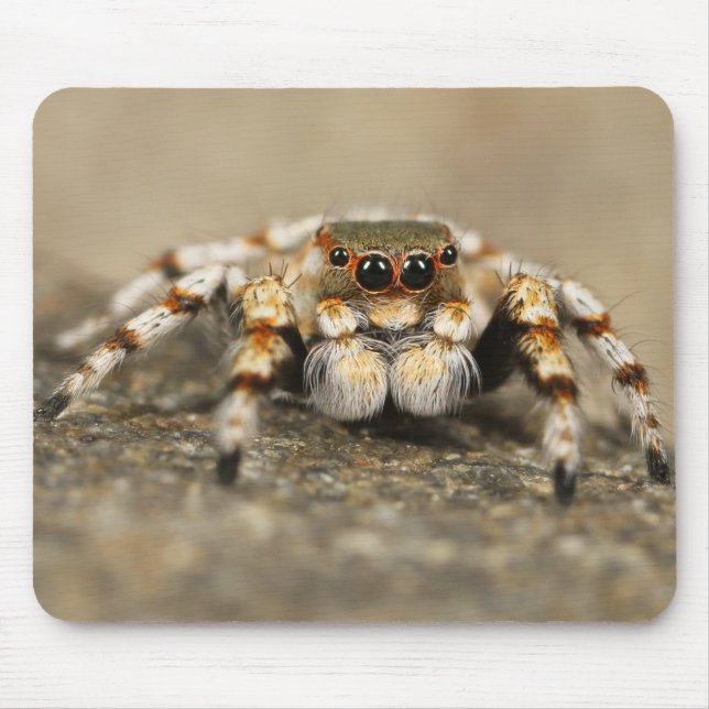 Mousepad Encerramento Incrível de Aranha Tarantula (Frente)