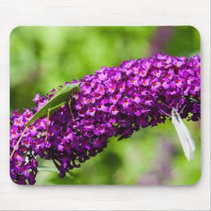 Mousepad energia do grilo-katydid