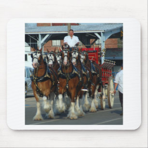 Mousepad Engate de cavalo de Clydesdale 6