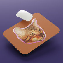 Engraçado Gato Misturado Colagem de Mídia