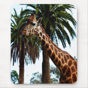 Mousepad Engraçado Girafa Dando Um Framboesa,