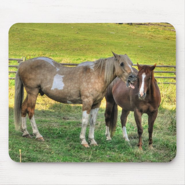 Mousepad Engraçado Pinto Stallion & Sorrel Mare Horse Amigo (Frente)