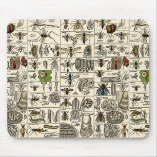Mousepad Entomologia do vintage