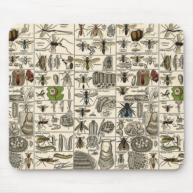 Mousepad Entomologia do vintage (Frente)