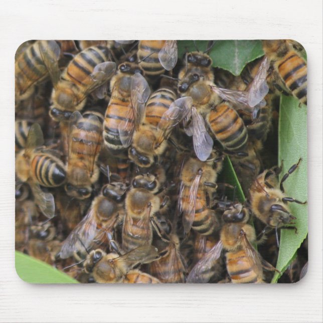 Mousepad Enxame de Abelhas de Honeybee (Frente)