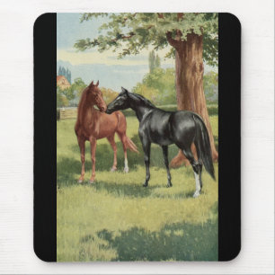 Mousepad Equestrian do garanhão da égua do cavalo do