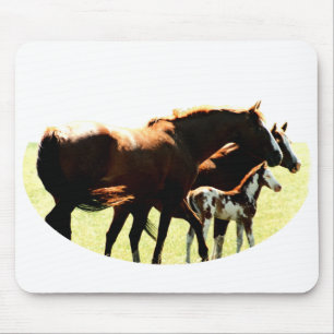 Mousepad Equídeos e Fotos
