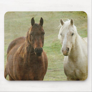 Mousepad Equinos Buddies