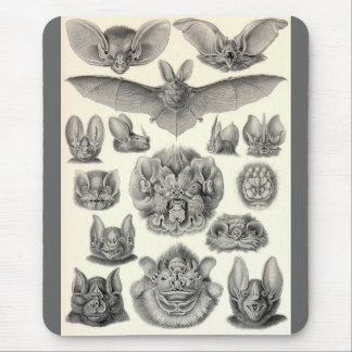 Mousepad Ernst Haeckel - bastões do Chiroptera