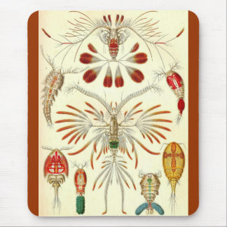 Mousepad Ernst Haeckel - Copepoda