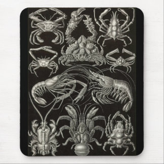 Mousepad Ernst Haeckel - Decapoda