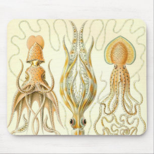 Mousepad Ernst Haeckel - detalhe de Gamochonia