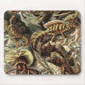 Mousepad Ernst Haeckel - detalhe dos lagartos de Lacertilia