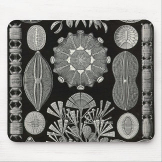 Mousepad Ernst Haeckel - Diatomea2 Detail1