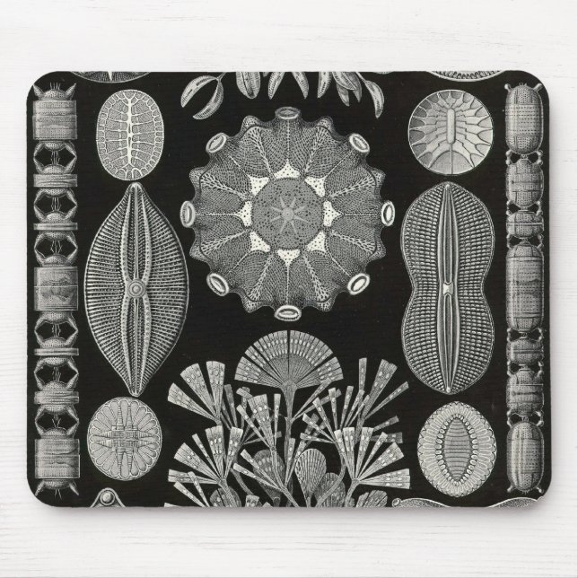 Mousepad Ernst Haeckel - Diatomea2 Detail1 (Frente)