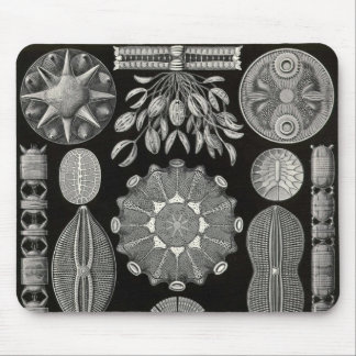 Mousepad Ernst Haeckel - Diatomea2 Detail3
