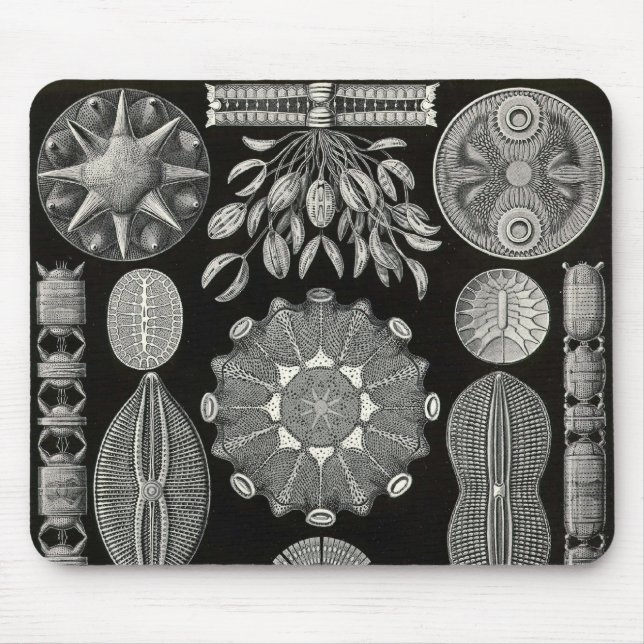 Mousepad Ernst Haeckel - Diatomea2 Detail3 (Frente)