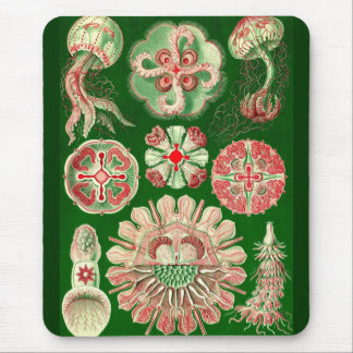 Mousepad Ernst Haeckel - Disco5