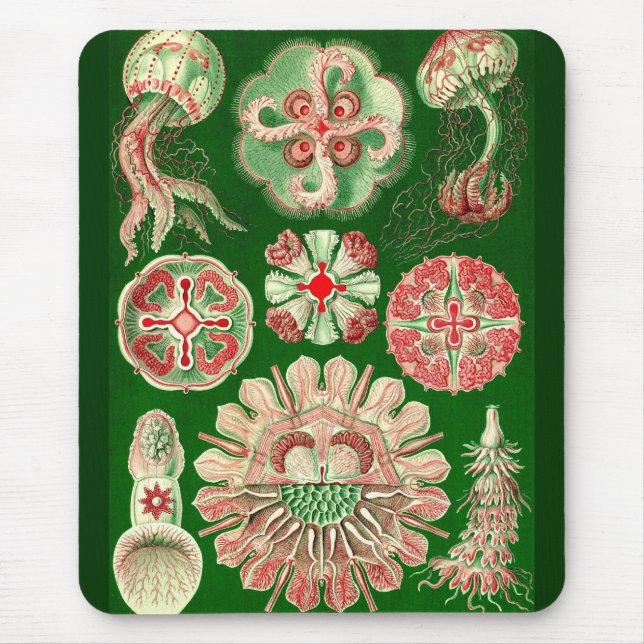 Mousepad Ernst Haeckel - Disco5 (Frente)