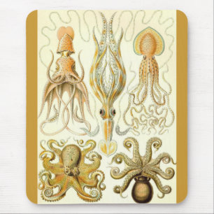 Mousepad Ernst Haeckel - Gamochonia
