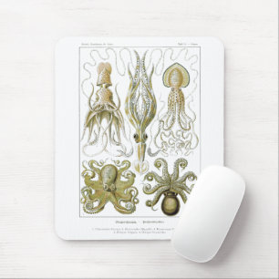 Mousepad Ernst Haeckel Gamochonia Octopus & Squid