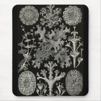 Mousepad Ernst Haeckel - Lichenes