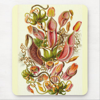 Mousepad Ernst Haeckel - Nepenthaceae