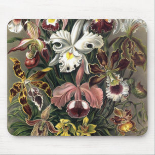 Mousepad Ernst Haeckel - Orchideae Detail1
