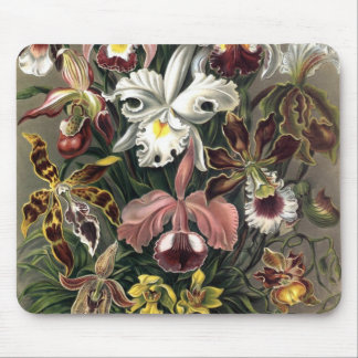 Mousepad Ernst Haeckel - Orchideae Detail1