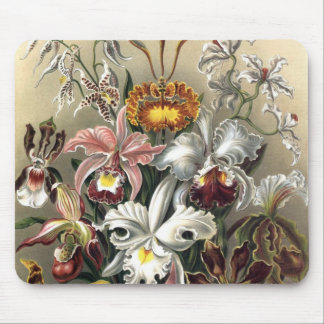 Mousepad Ernst Haeckel - Orchideae Detail3
