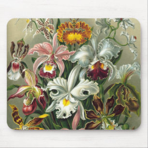 Mousepad Ernst Haeckel Orquídeas, Flores da Floresta Tropic