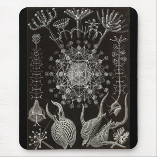 Mousepad Ernst Haeckel - Phaeodaria2