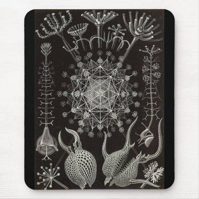 Mousepad Ernst Haeckel - Phaeodaria2 (Frente)